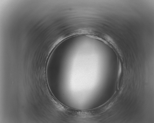 X0000080131089200612151732