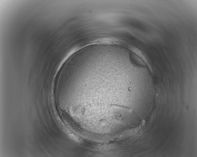 X0000080131091200612151732