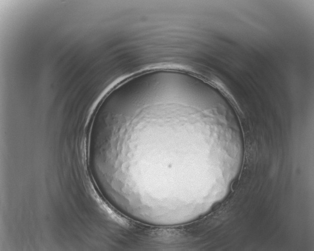 X0000080131092200612151732