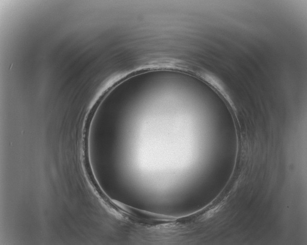 X0000080131093200612151732