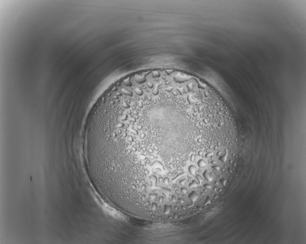 X0000080131094200612151732