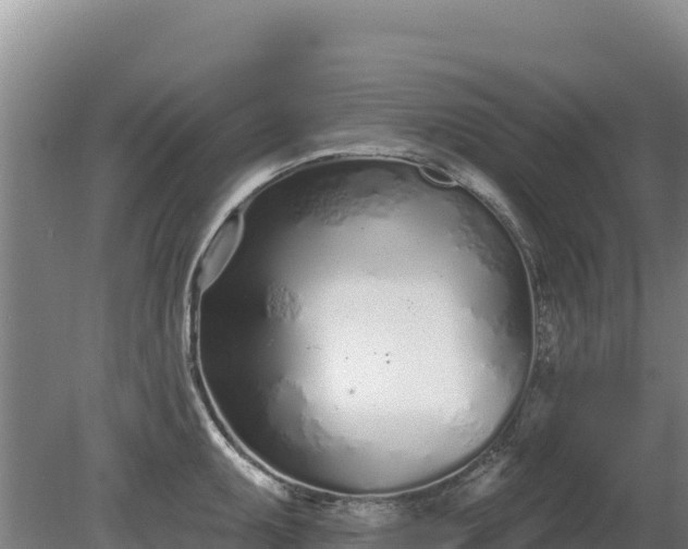 X0000080131095200612151732