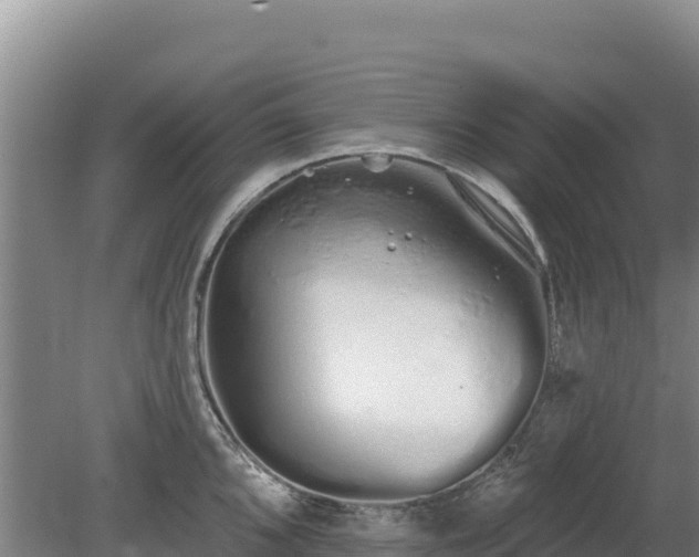 X0000080131096200612151732