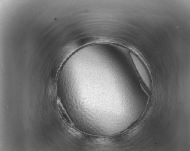 X0000080131097200612151732