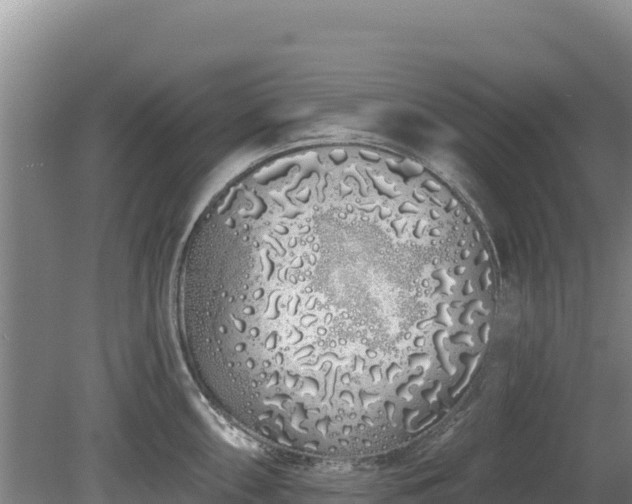 X0000080131098200612151732