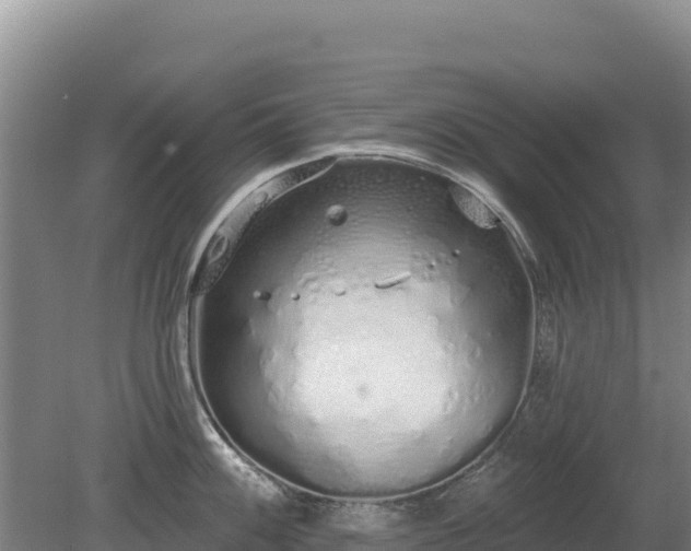 X0000080131100200612151732