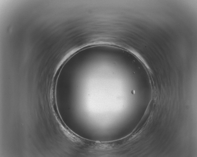 X0000080131101200612151732