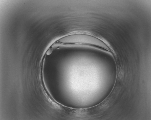 X0000080131102200612151732