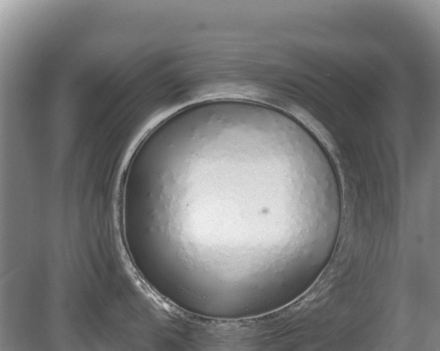 X0000080131104200612151732