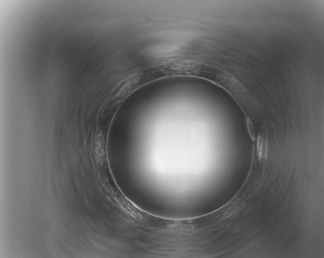 X0000080131107200612151731