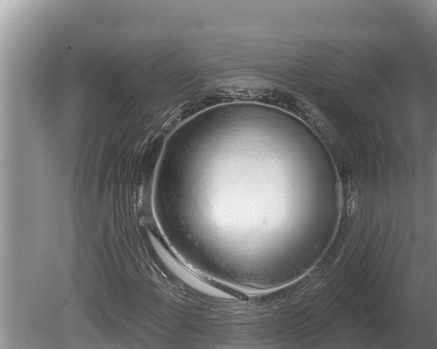 X0000080131108200612151731