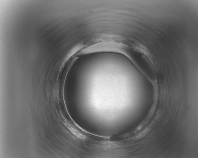 X0000080131114200612151731