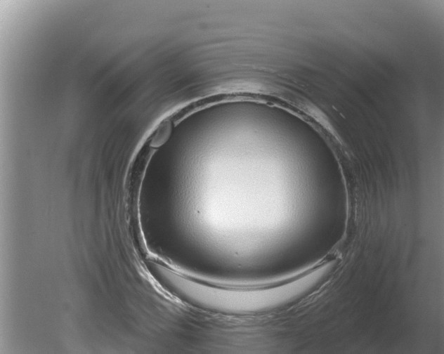 X0000080131116200612151731