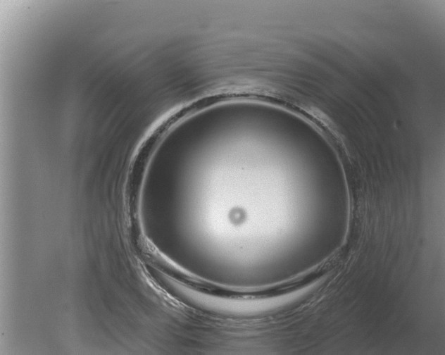 X0000080131120200612151731