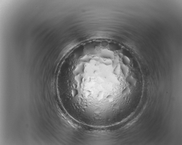 X0000080131121200612151731