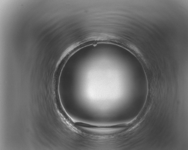 X0000080131122200612151731