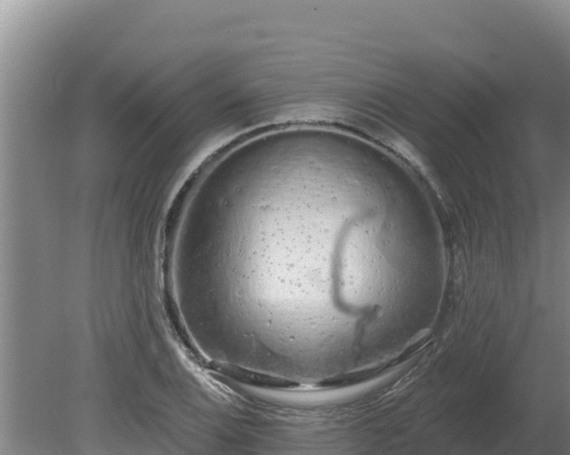 X0000080131124200612151731