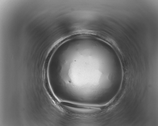 X0000080131125200612151731