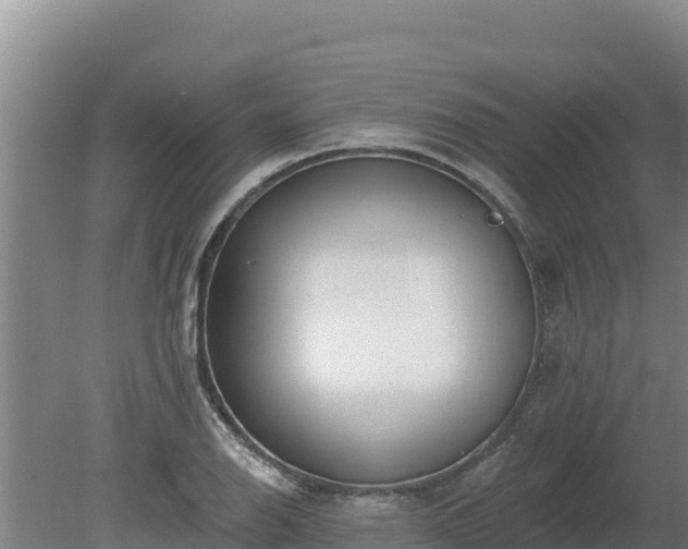 X0000080131126200612151731