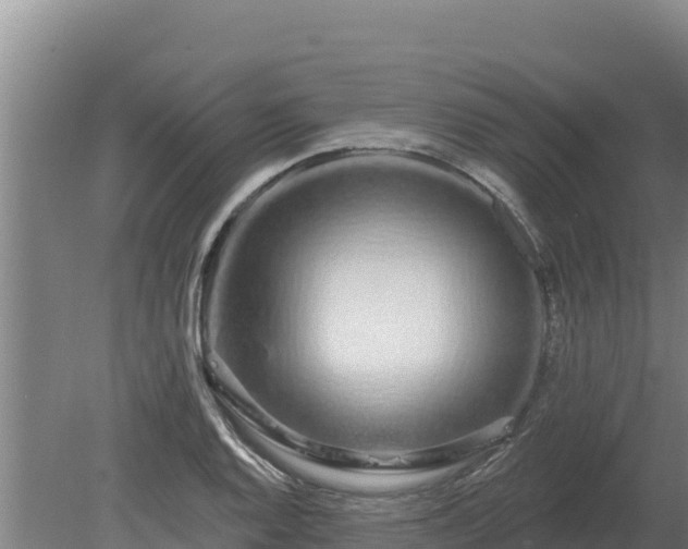 X0000080131128200612151731