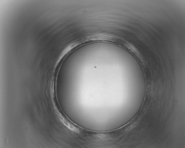 X0000080131130200612151731