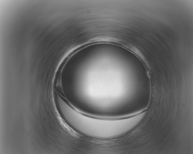 X0000080131132200612151731