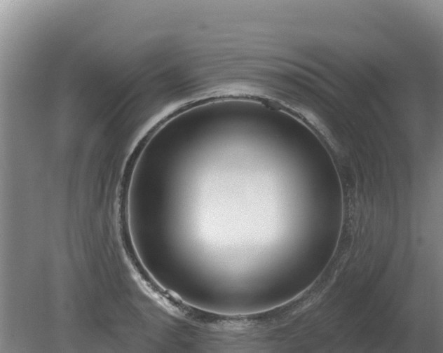 X0000080131134200612151732