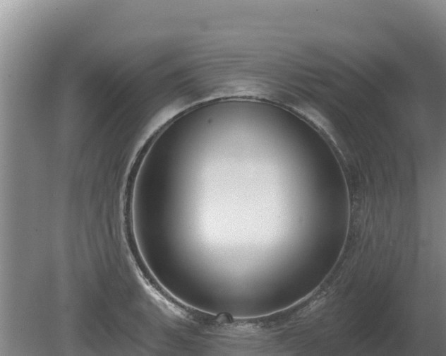 X0000080131135200612151732