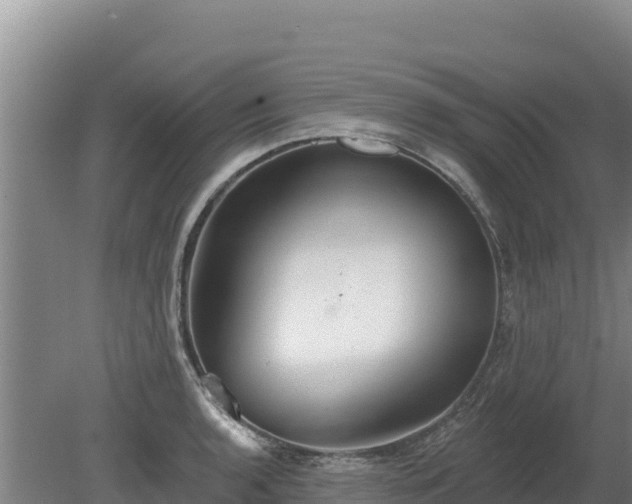 X0000080131136200612151732