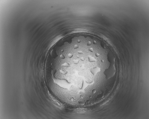 X0000080131137200612151732