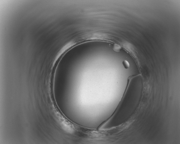 X0000080131138200612151732