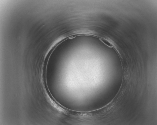 X0000080131139200612151732