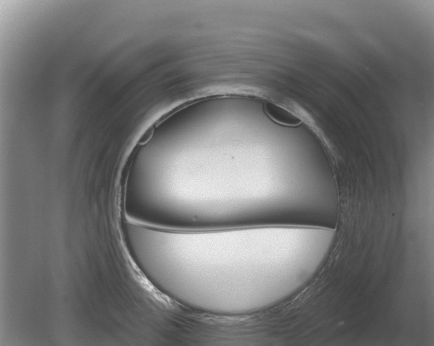 X0000080131140200612151732