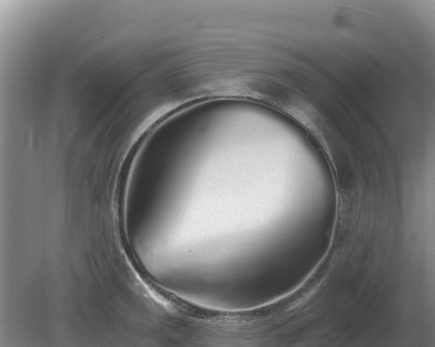 X0000080131141200612151732