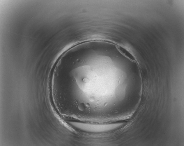 X0000080131142200612151732