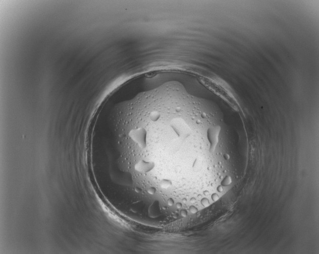 X0000080131143200612151732