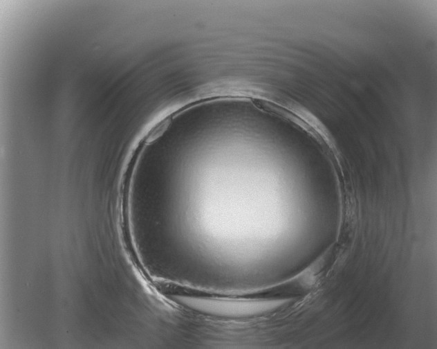 X0000080131144200612151732