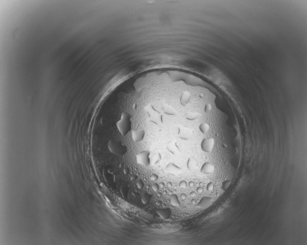 X0000080131145200612151732