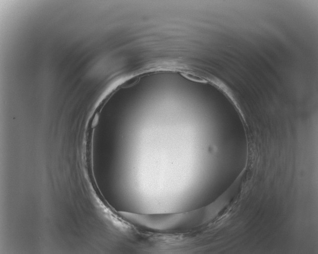 X0000080131147200612151732