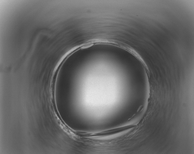 X0000080131148200612151732