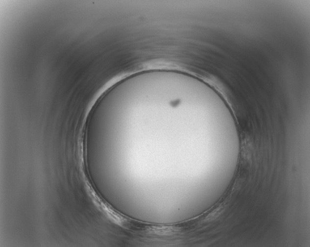 X0000080131150200612151732