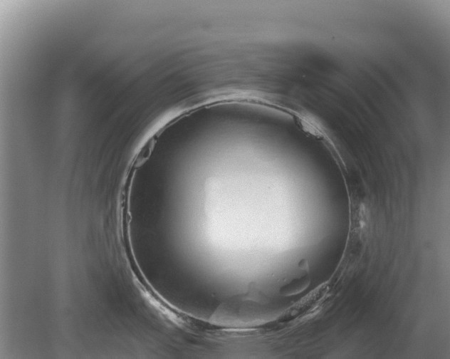 X0000080131151200612151732