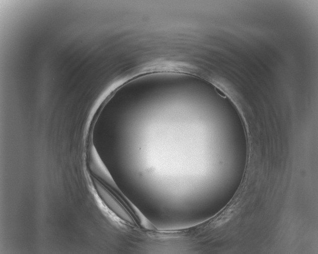 X0000080131152200612151732