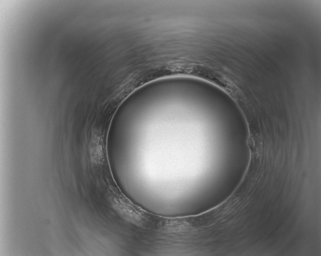 X0000080131154200612151731