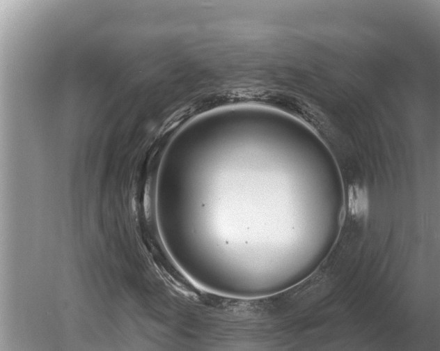 X0000080131155200612151731