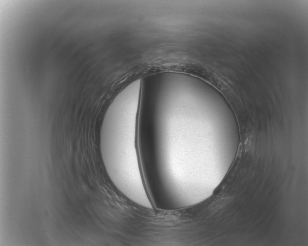 X0000080131156200612151731