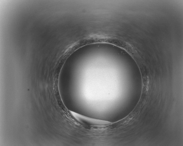 X0000080131157200612151731