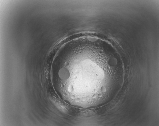 X0000080131159200612151731