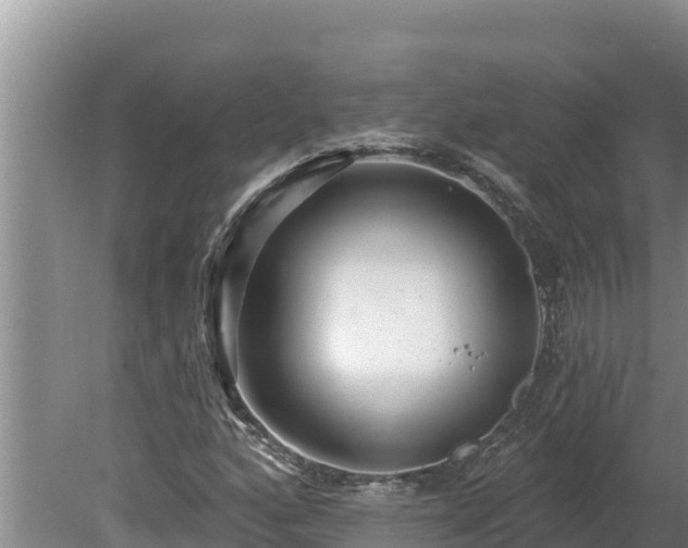 X0000080131160200612151731