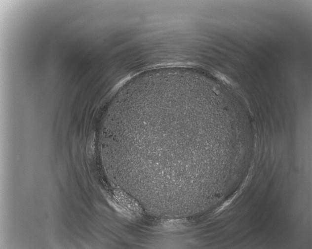 X0000080131161200612151731